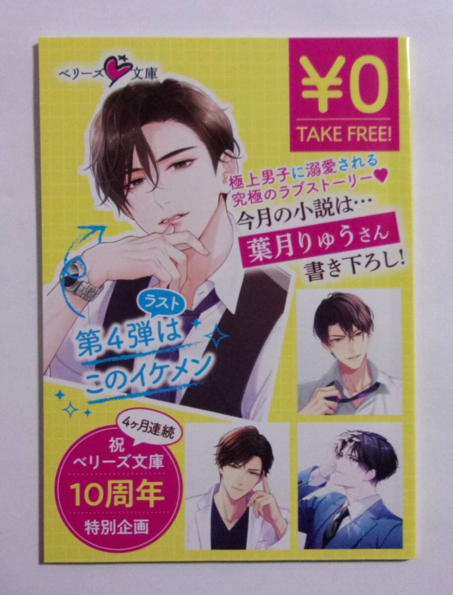 【小冊子】 4ヶ月連続 祝 ベリーズ文庫 10周年企画 第4弾 葉月りゅうさん 「欲しいのは、あなただけ」 非売品拍卖