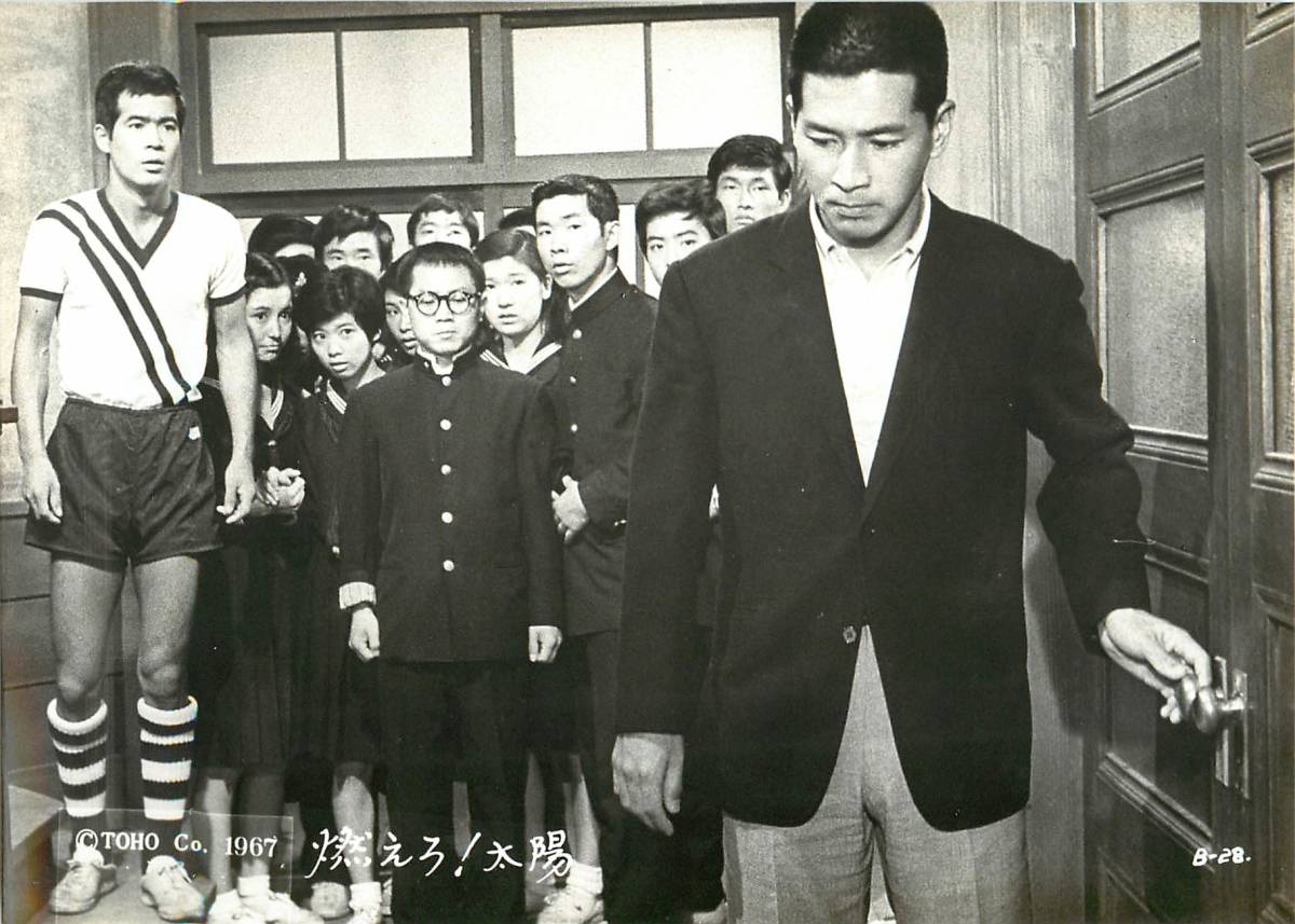 p39456『燃えろ!青春』スチル 黒沢年雄 竜雷太 夏木陽介 藤木悠 星由里子 酒井和歌子 工藤富子 七尾伶子 高橋厚子拍卖