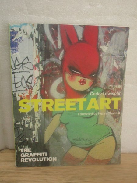 洋書■ストリートアート その絵画の革命 2009年 全英文拍卖