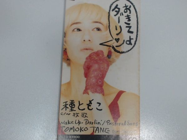 おきてよダーリン...ISBN..04988009335810..ソニー・ミュージックレコーズ拍卖