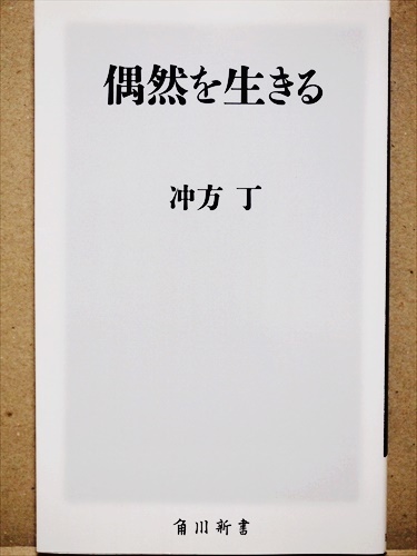 『偶然を生きる』 「物語」が持つ力 偶然を解明 冲方 丁 新書 ★同梱OK★拍卖