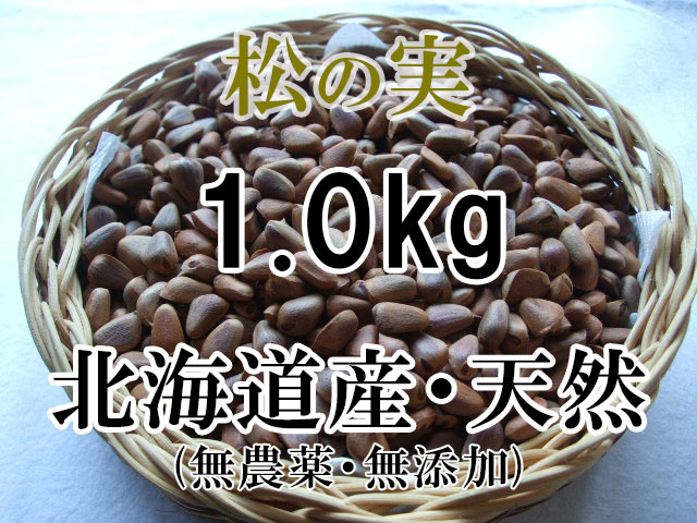 北海道産 天然 松の実 1.0kg 山菜 手作業・こだわり拍卖