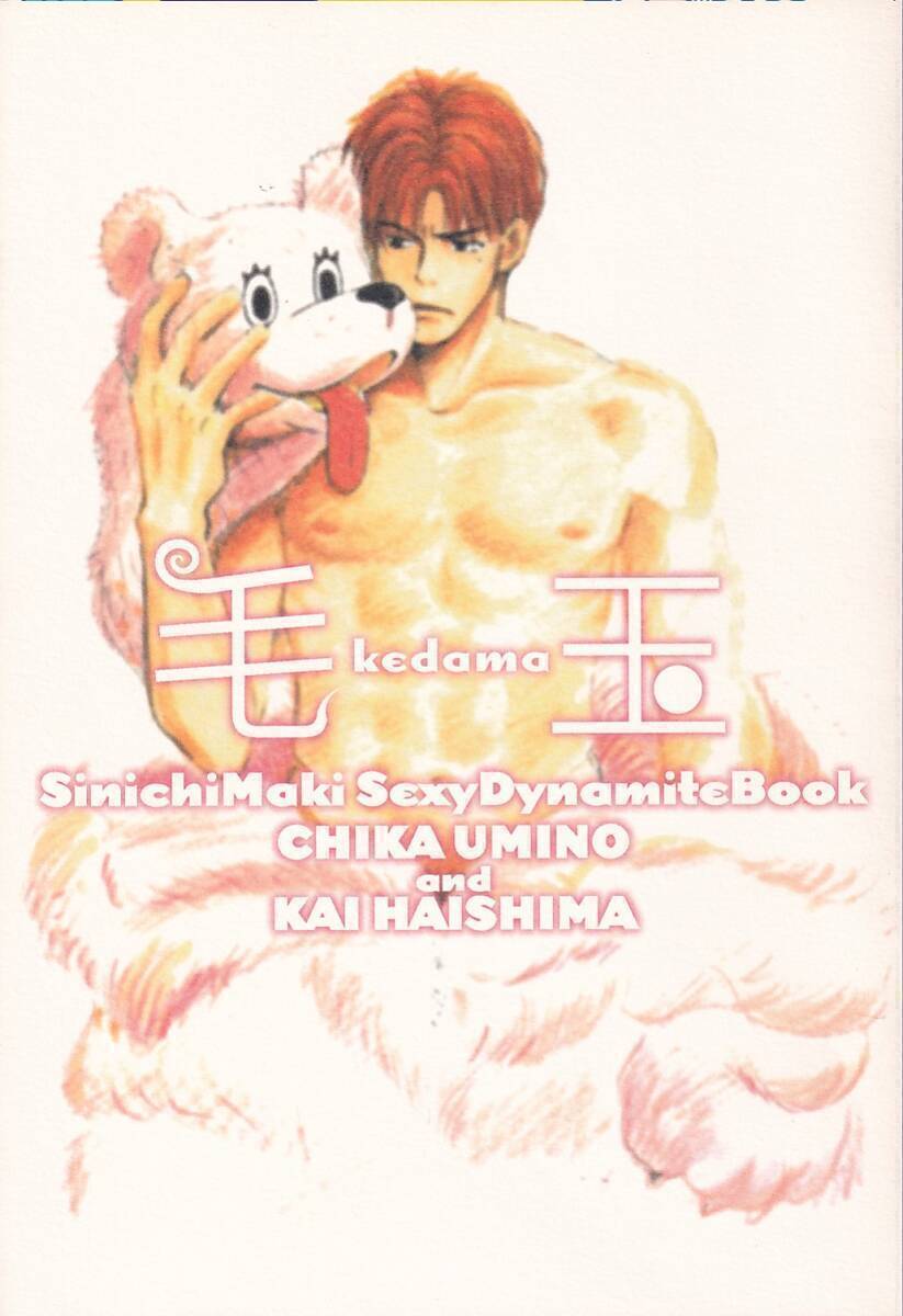 スラムダンク同人誌 BLUE on BLUE 羽海野チカ 灰島カイ「毛玉」牧紳一 中心本拍卖