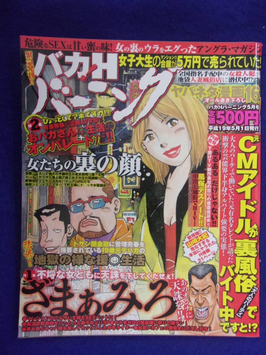 3022 バカHバーニング 2007年5月号拍卖