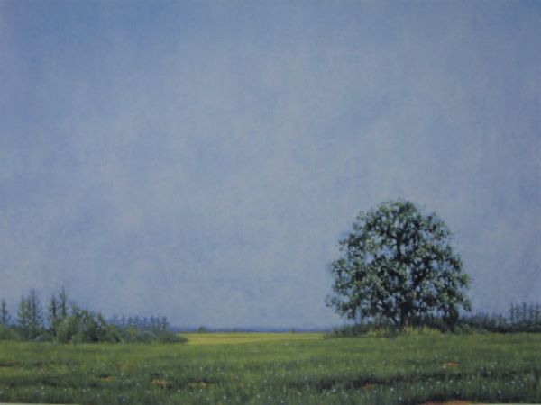 入江観、『草原の樹』、希少画集より、状態良好、新品木製額・額装付、送料込み、洋画拍卖