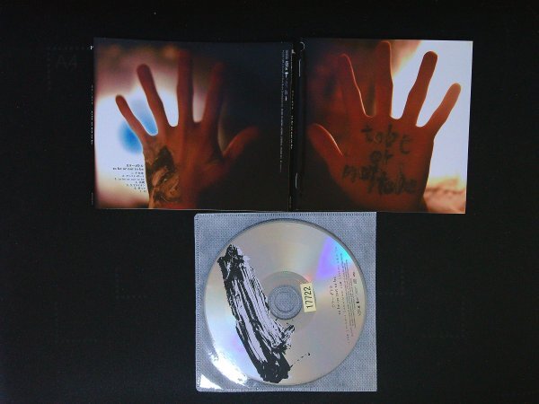 to be or not to be カラーボトル CD 即決 送料200円 1211拍卖