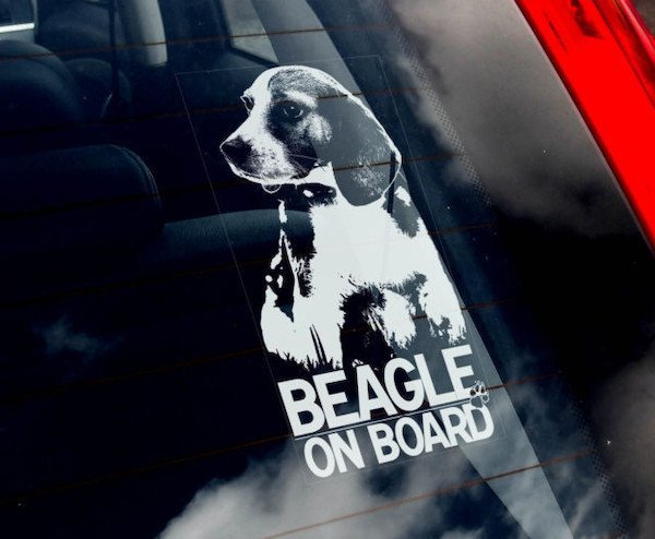 海外限定 新品 ビーグル 犬 C116 100 x 200mm ステッカー拍卖