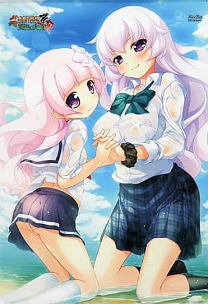 真・恋姫†夢想 -革命- 劉旗の大望 夏爛漫セット 霊帝&献帝 A1タペストリー /未開封拍卖