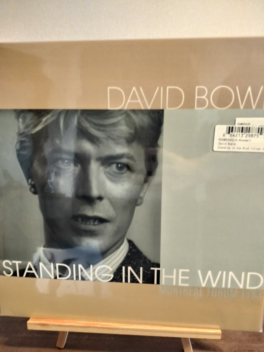 david bowie standing in the wind lp レコード 新品 デビッドボウイ拍卖