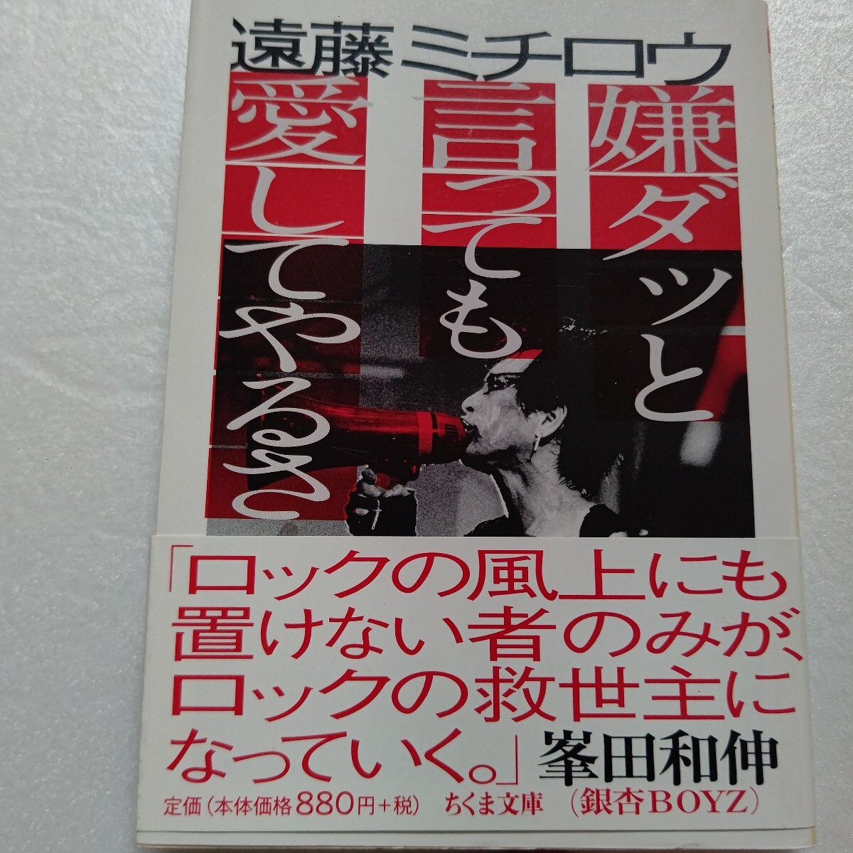 ◆希少 嫌ダッと言っても愛してやるさ!遠藤ミチロウ 吉本隆明 峯田和伸 忌野清志郎 パティスミス スターリン 日本パンク 爆裂都市ほか拍卖