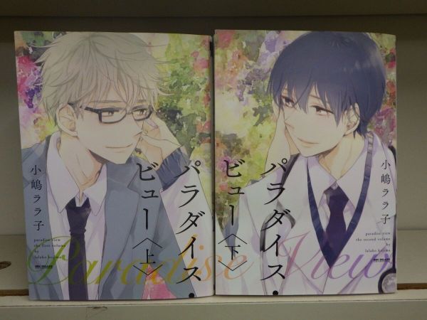 AK_11A_0284_パラダイス・ビュー 上下巻セット (新装版) (ビーボーイコミックスデラックス) (ビーボーイコミックスDX)拍卖