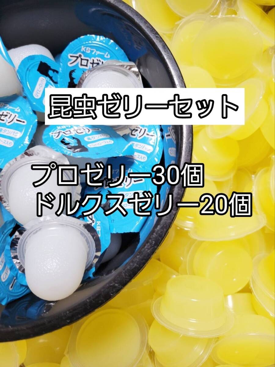 【送料無料】 ドルクスゼリーワイドS16g 20個 国産 プロゼリー16g 30個 KBファーム 昆虫ゼリー カブトムシ クワガタ ハムスター等 小動物拍卖