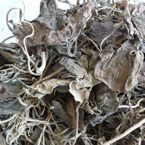 雲南産 天然 生田七人参茶 100g(小分け)拍卖