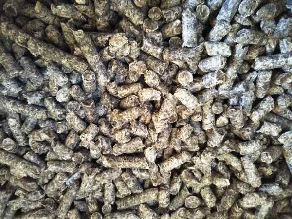 ビートパルプ 20kg 飼料 エサ拍卖