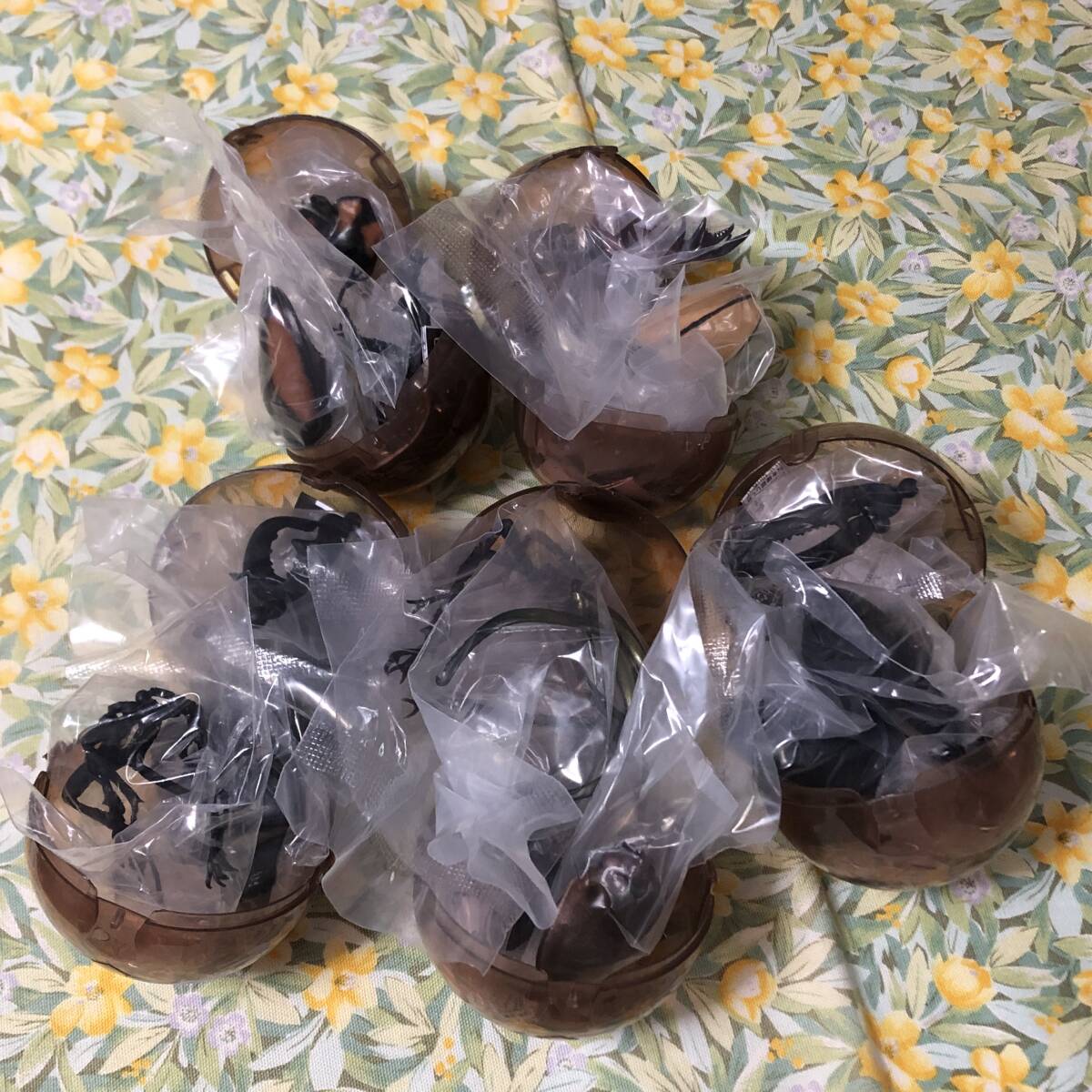 販促ディスプレイPOP付 いきもの大図鑑 くわがた08 全5種set ガチャ/クワガタ/KUWAGATA/パラワンオオヒラタ/ダイオウヒラタ/チリクワガタ拍卖