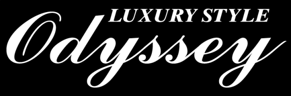 LUXURY STYLE オデッセイ 25センチ拍卖