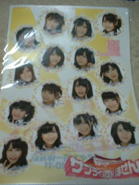 ● AKB48 ● Team A ● ファイル 代々木第一体育館 ● 新品拍卖
