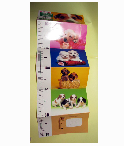 ACA0824 フジカラー メモリアルシート 3枚セット 新品拍卖