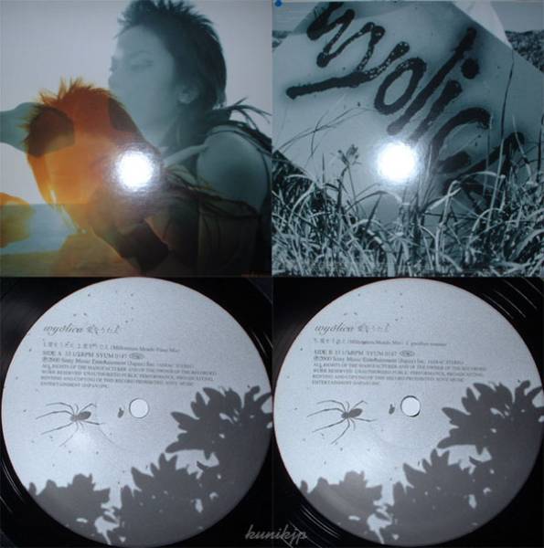 Wyolica/大沢伸一 愛をうたえ 12inch Epic 2000 jazz bossa instあり拍卖