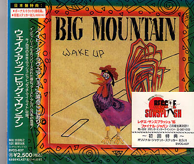 未開封★BIG MOUNTAN ビッグ・マウンテン☆ウェイク・アップ★初回盤拍卖