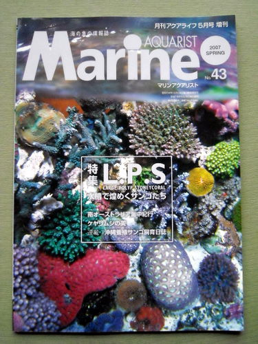 魚 マリンアクアリスト 2007 no.43 水槽で煌めくサンゴたち拍卖