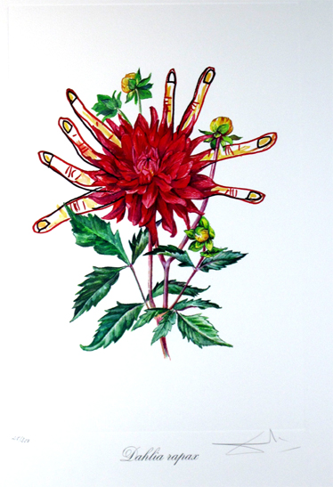 ダリ(ダリア)エッチング・ヘリオグラビュール・エンボス 真性保証 Acre拍卖