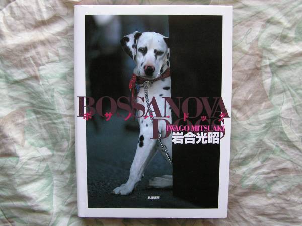 ◇ボサノバ・ドッグ/岩合 光昭 ■初版 ちょっとネコぼけ のら 拍卖