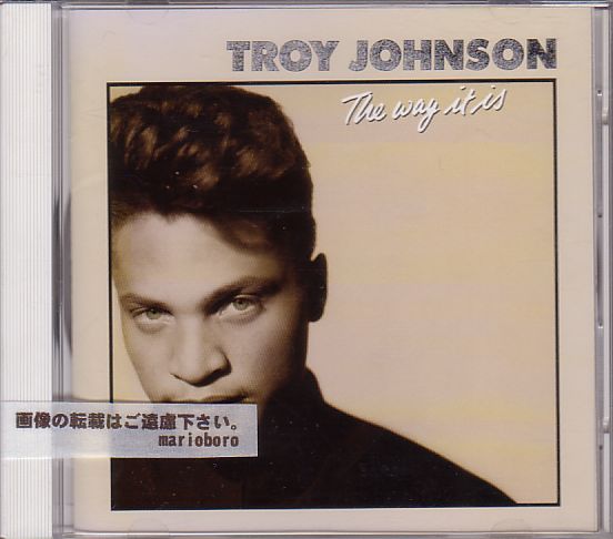 トロイ・ジョンソン CD/ザ・ウェイ・イット・イズ 1989年 80年代 日本盤 廃盤拍卖
