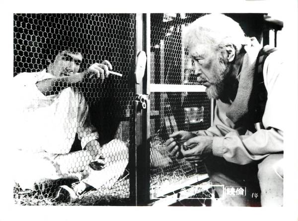 p22138森繁久彌郷ひろみ『夢一族 ザ・らいばる』スチル拍卖