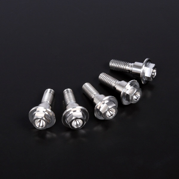 Kawasaki カワサキ ZZR1400 Ninja1000 Z1000 NINJA1000SX フロント用 チタン ブレーキディスクボルト拍卖