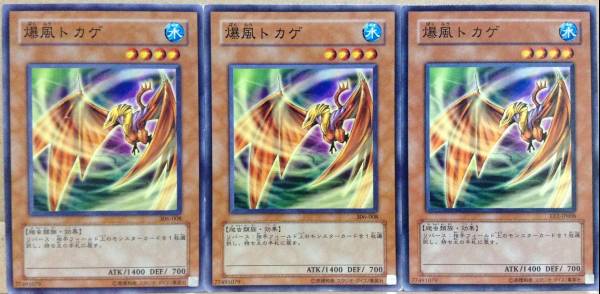 ☆遊戯王 爆風トカゲ(ノーマル) 3枚セット 306 EE2 即決☆拍卖