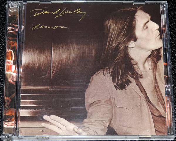 デヴィッド・ラズリー David Lasley / Demos 幻AOR名盤2CD極稀少国内拍卖