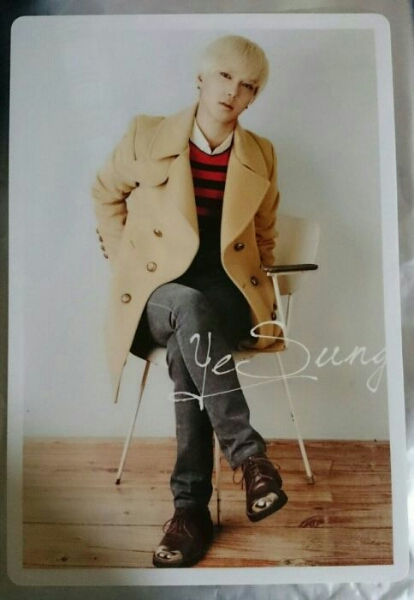 SUPER JUNIOR-K.R.Y. イェソン Promise You 下敷き 会場限定特典拍卖