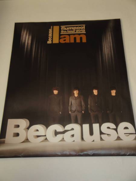 即決 flumpool 5th tour 2012 Because... Iam パンフ拍卖