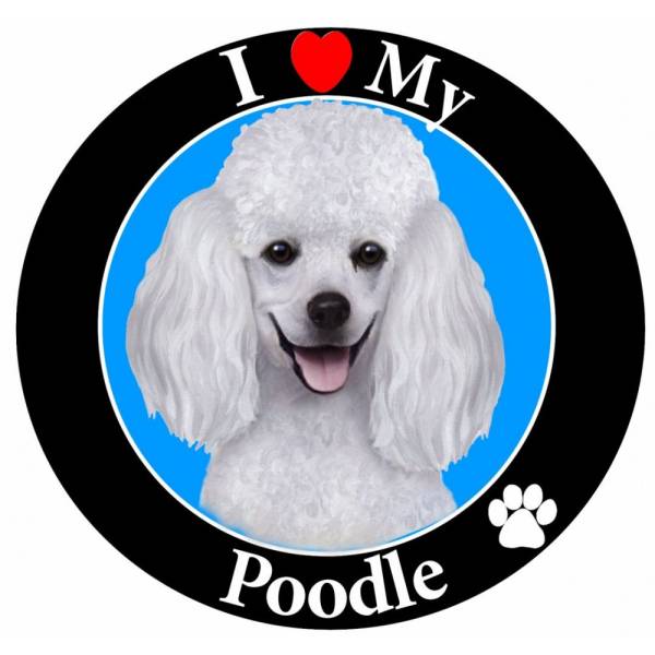 ●プードル ホワイト カーマグネット サークル 円型 ブリード●拍卖