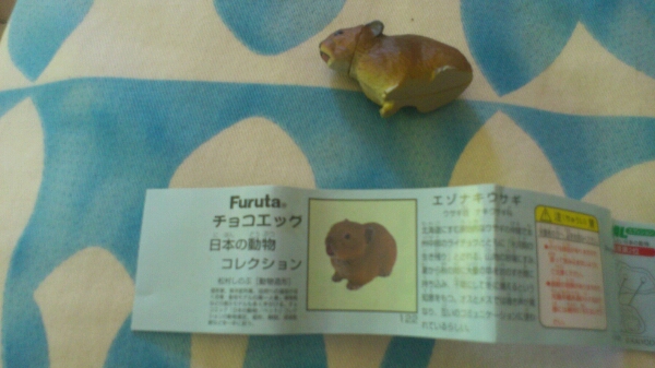 122●チョコエッグ●イシダイ●日本の動物拍卖