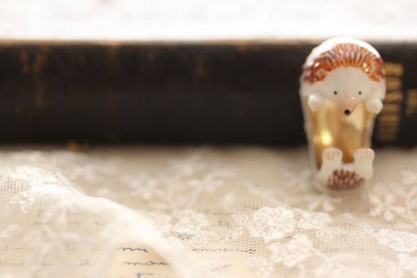 *ハリネズミ巻き付きリング拍卖