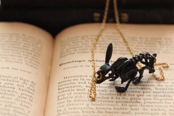 *ラビットボーン標本ネックレス拍卖