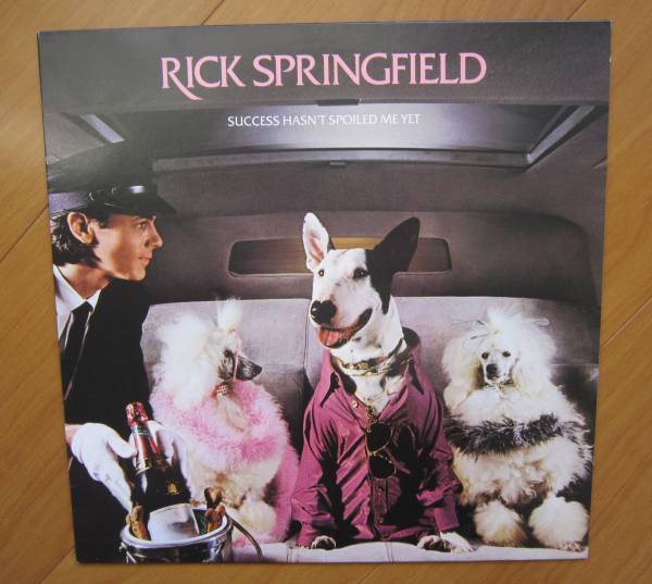 100円~! SUCCESS HASN'T SPOILED ME YET拍卖