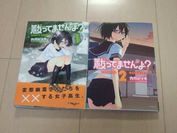 カガミツキ ■ 祓ってませんよ? 全2巻 ■ 即決拍卖