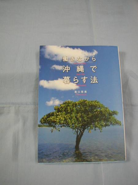 ★働きながら沖縄で暮らす法 【沖縄・琉球・文化】拍卖