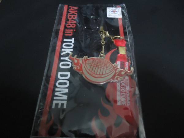 即決新品AKB48 1830mストラップ拍卖