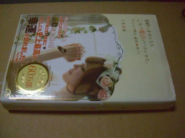 送料無料 100%幸せになる乙女の魔法のつかいかた。拍卖