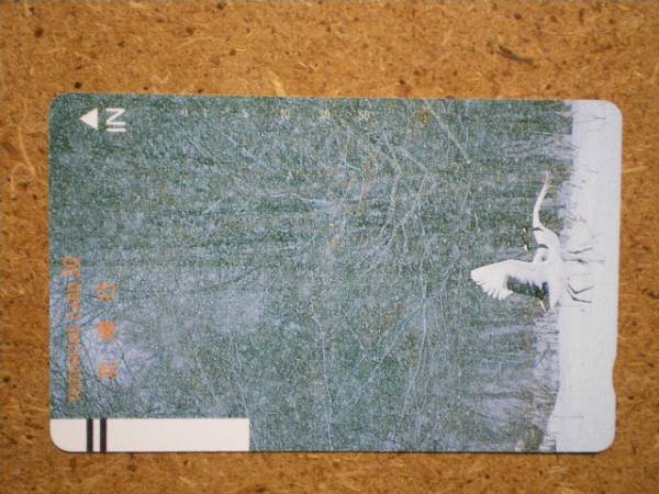 doub・110-16282 丹頂鶴 テレカ拍卖