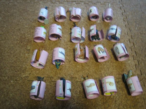 即決 チョコエッグ 日本の動物クラシック セミコンプ 21種拍卖