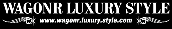 LUXURY STYLE ワゴンR 50センチ拍卖