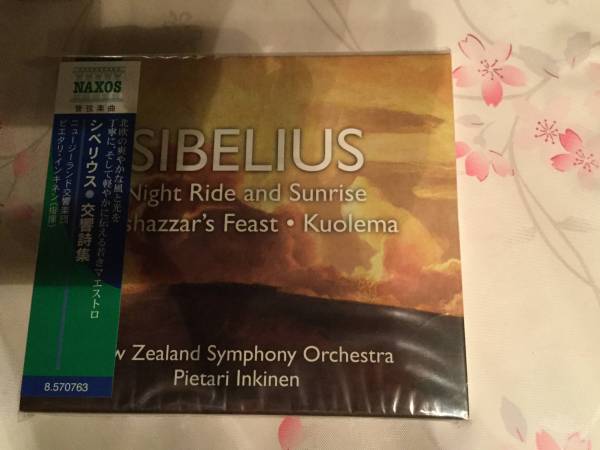 5CD 北欧の作曲家 ナクソスの素敵なCDを選出 リントゥ指揮など拍卖