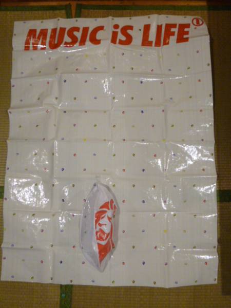 激レア!ネスタブランドのレジャーシート&ビーチボールのセット拍卖