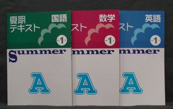 ★ 即発送 ★ 新品 夏期 講習 テキストA 3教科セット 1年 解・確認テ付拍卖