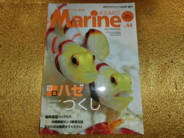 ★マリンアクアリスト2007-44★ハゼづくし★拍卖